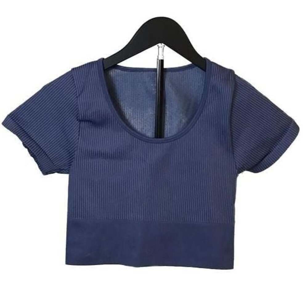 OFFLINE by Aerie Sidewalk Seamless Ribbed Cropped T-Shirt Medium